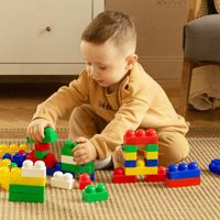 Який блочний конструктор краще обрати?