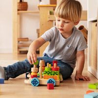 Развивающие игрушки: виды и особенности выбора