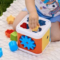 Сортер для дитини: користь, види та поради для батьків