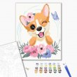 Картина по номерам Корги в цветочках, Brushme (30х40 см)