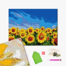 Алмазная мозаика Поле подсолнухов, Brushme (40x50 см)