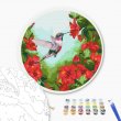 Картина по номерам Колибри, Brushme (30 см)