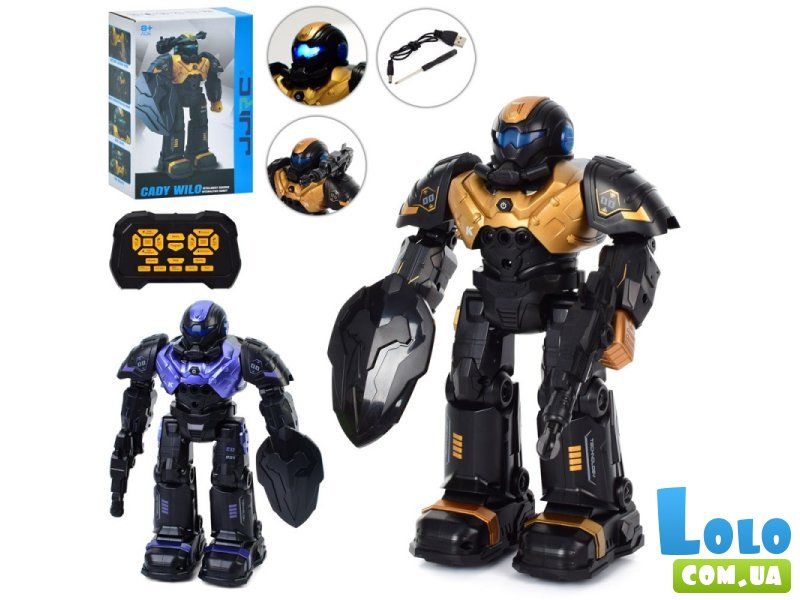 Робот на радиоуправлении (в ассортименте)