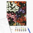 Картина по номерам Ярмарка тюльпанов, Brushme (40х50 см)