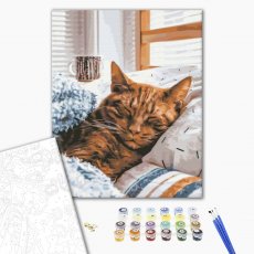 Картина по номерам Утренняя кошка, Brushme (40х50 см)