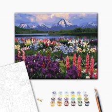 Картина по номерам Долина полевых цветов, Brushme (40х50 см)