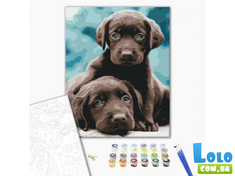 Картина по номерам Голубоглазые щенки, Brushme (40х50 см)