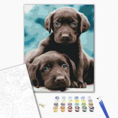 Картина по номерам Голубоглазые щенки, Brushme (40х50 см)