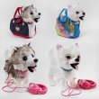 Собачка в сумке (в ассортименте)