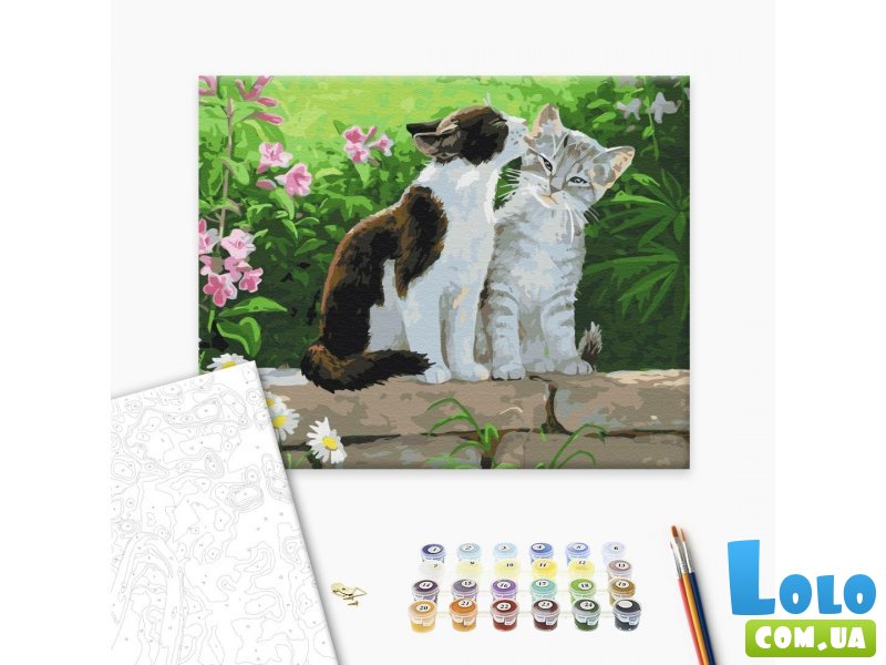 Картина по номерам Пара котят, Brushme (40х50 см)
