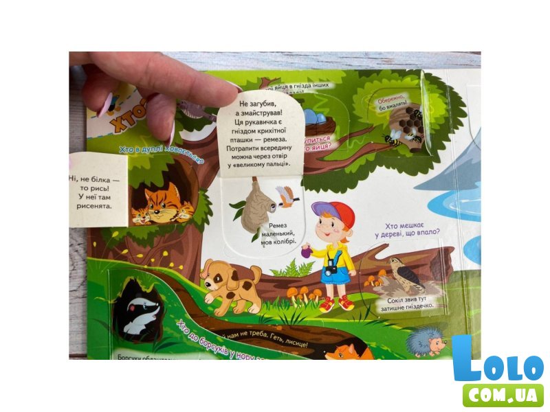 Книжка с окошками Почемучки, Пегас (укр)