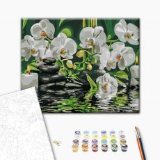 Картина по номерам Покой у орхидей, Brushme (40х50 см)