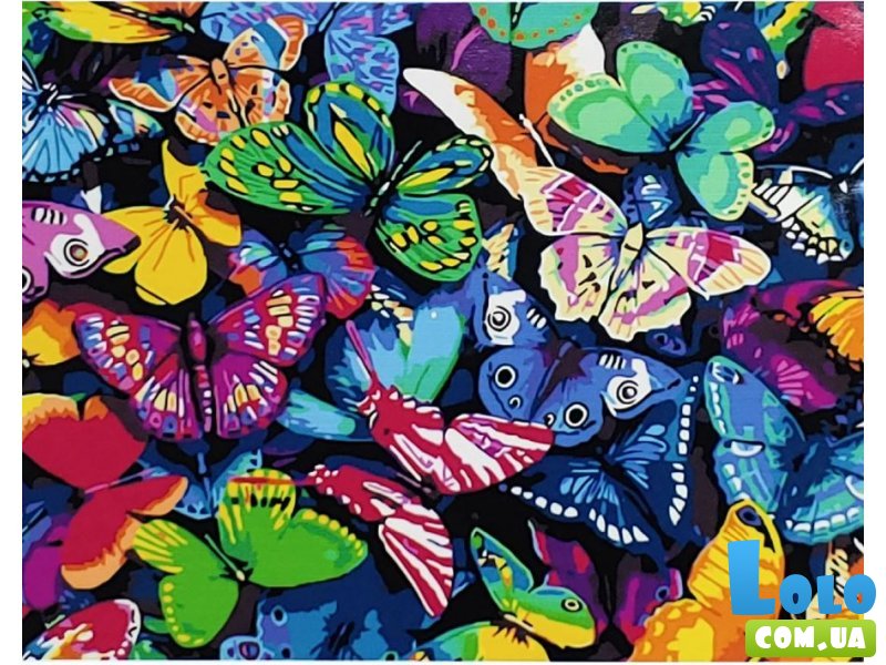 Картина по номерам Разноцветные бабочки, Strateg (40х50 см)