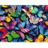 Картина по номерам Разноцветные бабочки, Strateg (40х50 см)