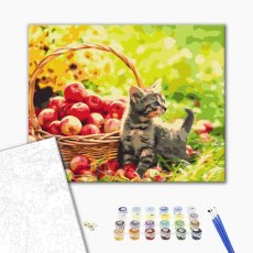 Картина по номерам Яблочный котик, Brushme (40х50 см)