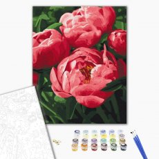 Картина по номерам Насыщенный цвет пионов, Brushme (40х50 см)