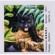 Картина по номерам Черная пантера, TK Group (30х40 см)