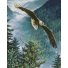 Алмазная мозаика Свободный орел, Strateg (40х50 см)