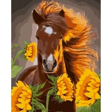 Картина по номерам Лошадь среди подсолнухов, Strateg (40х50 см)