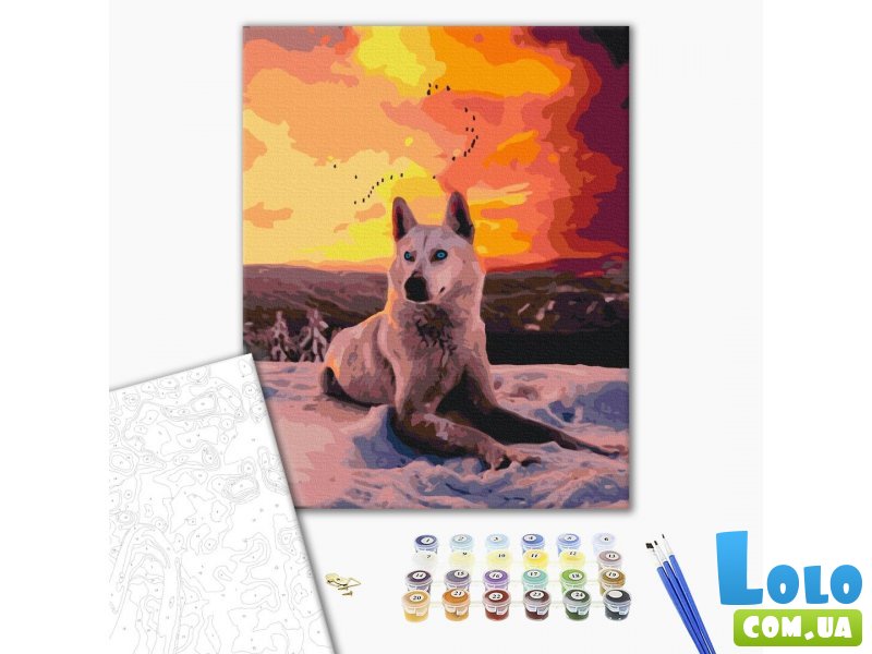 Картина по номерам Арктический волк, Brushme (40х50 см)