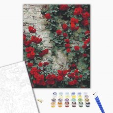 Картина по номерам Цветы у дома, Brushme (40х50 см)