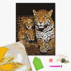 Алмазная мозаика Ночные леопарды, Brushme (40х50 см)
