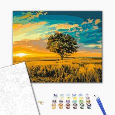 Картина по номерам Золотой закат солнца, Brushme (40х50 см)