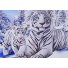 Алмазная мозаика Белые тигры, TK Group (30х20 см)