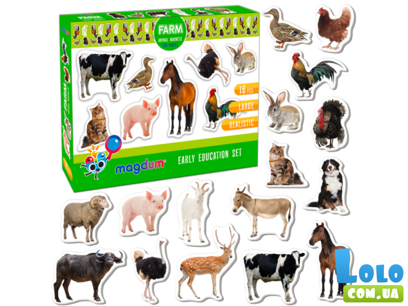 Набор магнитов Ферма