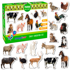 Набор магнитов Ферма