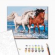 Картина по номерам Лошади на побережье, Brushme (40х50 см)