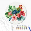 Картина по номерам круглая Попугай, Brushme (30 см)
