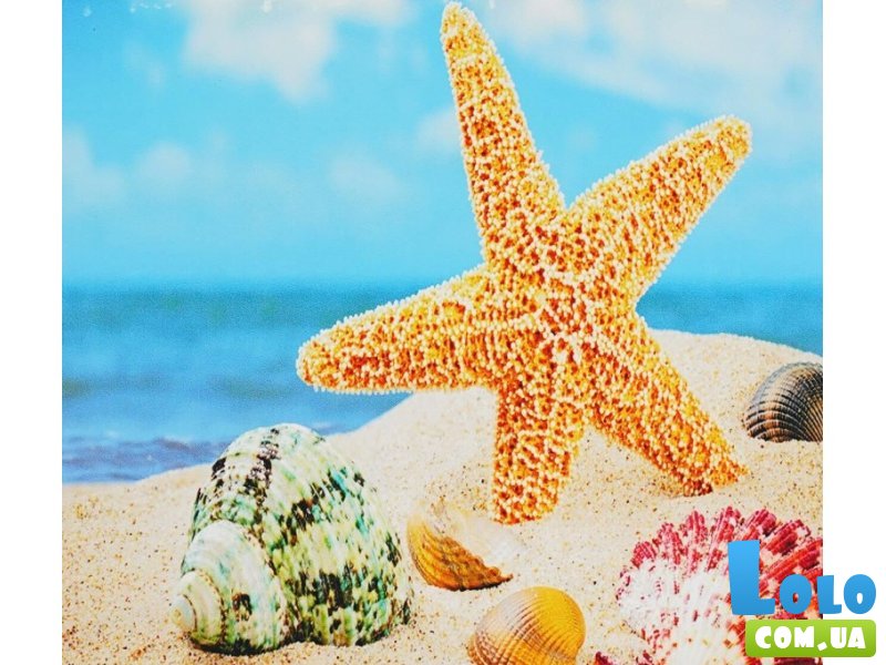 Алмазная мозаика Морская звезда, TK Group (30х40 см)