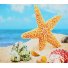 Алмазная мозаика Морская звезда, TK Group (30х40 см)