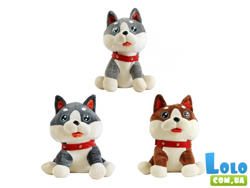 Мягкая игрушка Хаски, 36 см (в ассортименте)