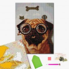 Алмазная мозаика Проверка зрения собачки ©Lucia Heffernan (DBS1220), Brushme (40х50 см)