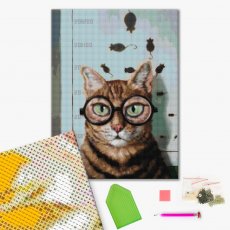 Алмазная мозаика Проверка зрения котика ©Lucia Heffernan (DBS1219), Brushme (40х50 см)