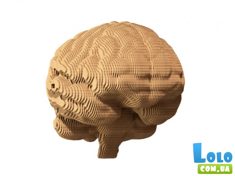 Картонный 3D пазл Мозок, Cartonic, 92 эл.