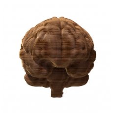 Картонный 3D пазл Мозок, Cartonic, 92 эл.