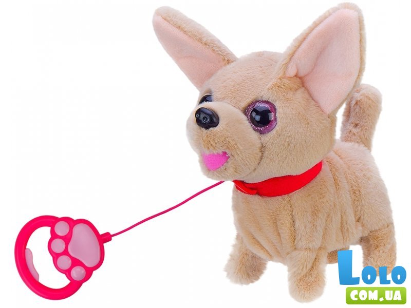 Интерактивная собачка Чихуахуа на поводке