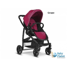 Прогулочная коляска Graco Evo Grape (фиолетовая)