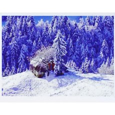 Алмазная мозаика Снежный лес, TK Group (20х30 см)