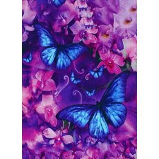 Алмазная мозаика Бабочки, TK Group (20х30 см)