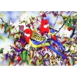 Алмазная мозаика Птицы, TK Group (30х20 см)