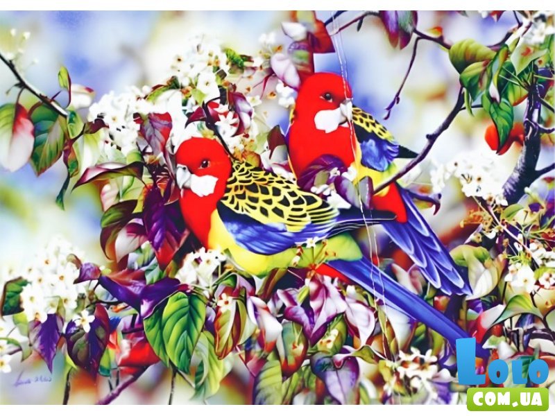 Алмазная мозаика Птицы, TK Group (30х20 см)