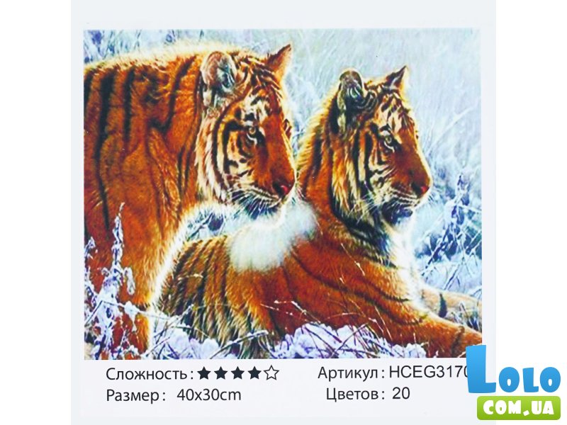 Картина по номерам Тигры, TK Group (40х30 см)