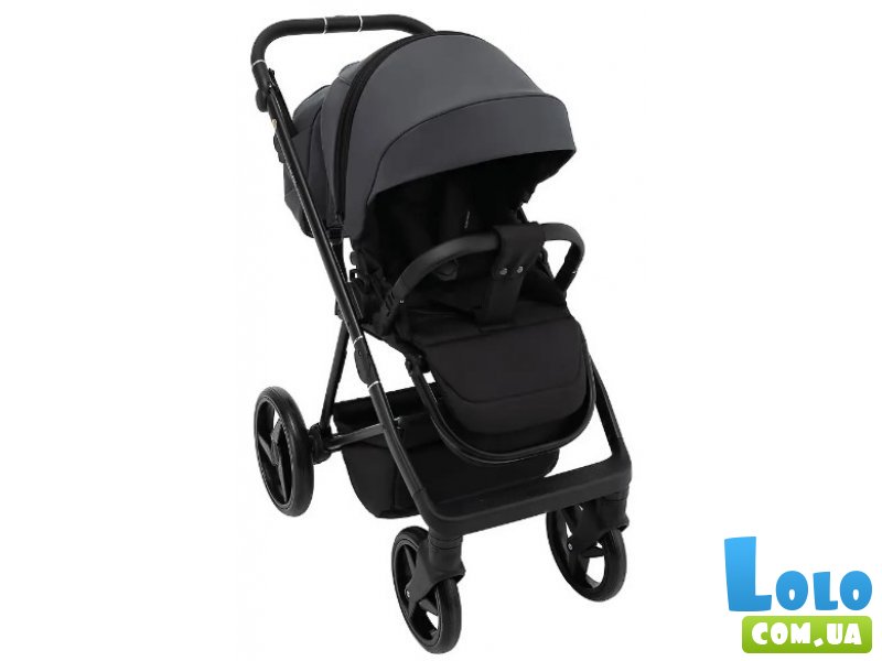 Коляска 2 в 1 Blanc Eco, Adamex (графит)