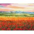 Картина по номерам Закат над цветочным полем ©Anna Steshenko, Brushme (40х50 см)
