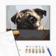 Картина по номерам Мопс, Brushme (40х50 см)