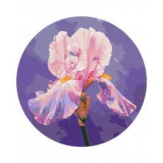 Картина по номерам круглая Розовый Ирис ©Anna Steshenko, Brushme (30 см)